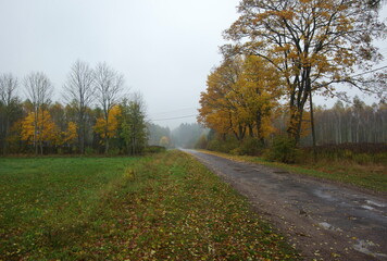 Fototapeta premium typical road in podlasie, poland (autumn)