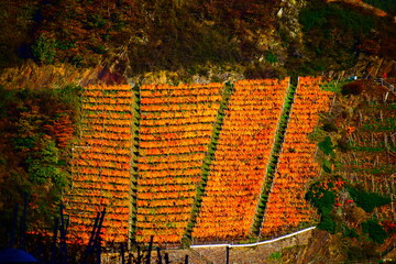 herbstlich buntes Ahrtal bei Dernau