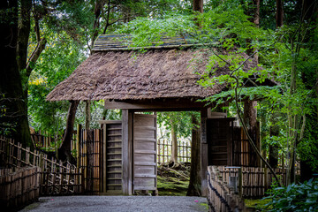 日本庭園の門