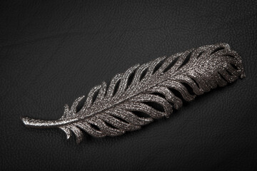 image of feather dark background