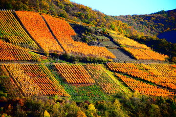 herbstlich buntes Ahrtal bei Dernau