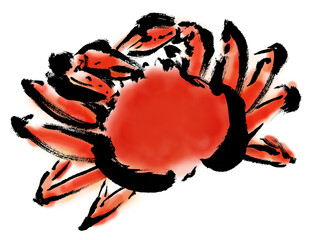 コピースペースのあるズワイガニの手描きイラスト