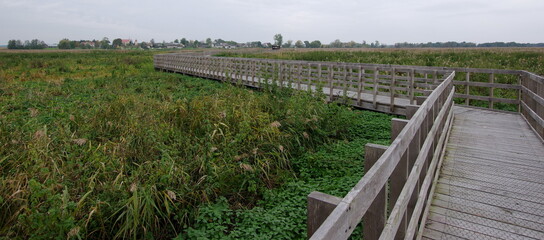 Footbridge among the swamps (Śliwno and Waniewo, Podlaskie, Poland)