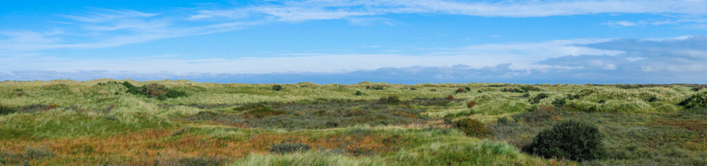 Fototapeta premium View over the dunes and wetlands of Ameland, Holland