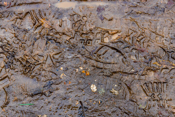 footprints in the mud. urban environment