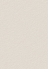 Cardboard Texture, Handmade Paper. Seamless Square Texture Or Background. Beige Paper Texture. Light Cardboard Background. Vertical Sheet Of Paper A4.