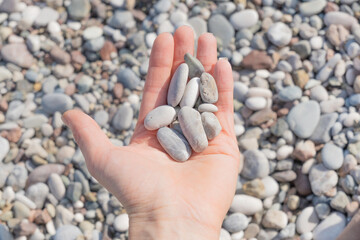 A woman's hand with gray sea stones on the palm close-up against the background of a pebble beach