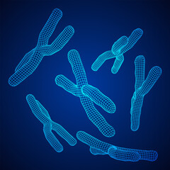 Chromosome scientific medicine education concept.