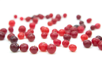 Ripe organic cranberry isolated on white background. Сopy space on a white background.