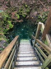 Fototapeta premium Steps leading down to Martz Sink, Madison Blue Springs State Park, Florida
