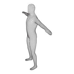 Male or man anatomy. Body biology medicine education concept.