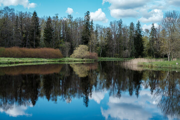 Fototapeta na wymiar blue sky reflections in clear water pond with spring trees and mirror water