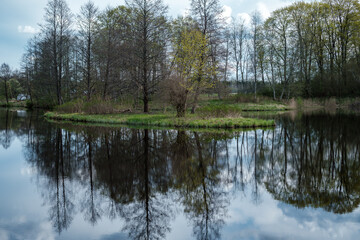Fototapeta na wymiar blue sky reflections in clear water pond with spring trees and mirror water
