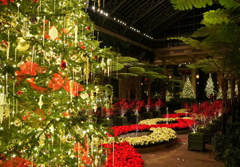 Beautiful Christmas tree inside a garden with fountain decorated with red and white poinsettia plants