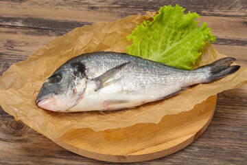 Raw Dorada fish  for cooking
