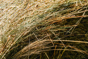A stack of dry hay
