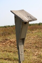 A close view on the old wood birdhouse in the park.