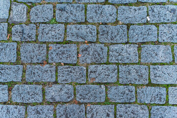 Granit Kleinstein Pflasterbelag in Reihen. Die Fugen sind zum Teil mit Gras und Moos bedeckt.