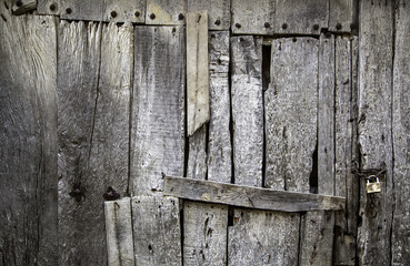 Wood wall texture