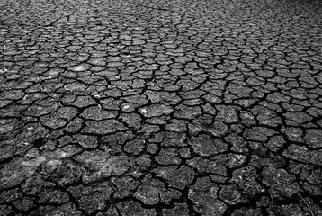 Landscape dried and cracked background. The soil dry. Drouth concept. No water.