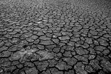 Landscape dried and cracked background. The soil dry. Drouth concept. No water.