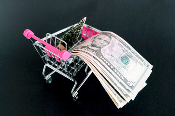 shopping cart with dollar bills