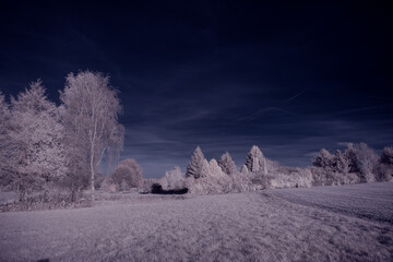 infrared photography - ir photo of landscape with tree under sky with clouds - the art of our world...