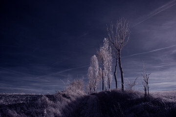 infrared photography - ir photo of landscape with tree under sky with clouds - the art of our world...
