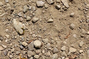 A close view on the rocks and pebbles in the dirt.
