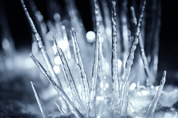 amazing illuminated winter icicles in snow at night