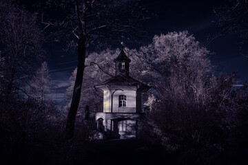 infrared photography - ir photo of landscape with tree under sky with clouds - the art of our world...