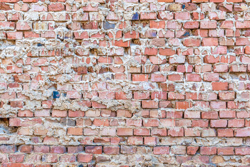 Naklejka premium without plaster brick wall, background or texture