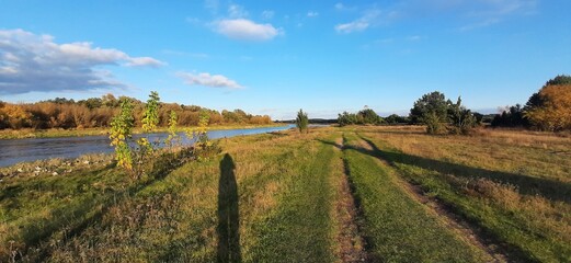 Obraz premium Autumm in Poland, Narew river.