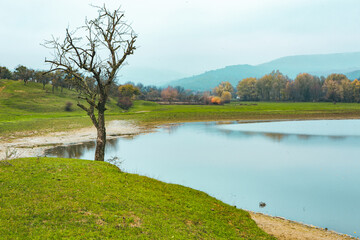 Beautiful autumn landscape with lone tree stands in a green field. Nature in Europe. Amazing place for travel.