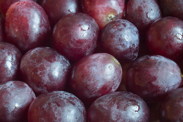 Close-up of a group of black grapes. Organic texture as a background.