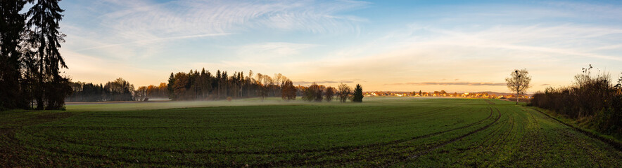 Fototapeta na wymiar Panorama of rural landscape, path between agriculture fields.