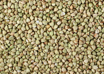 Buckwheat background and texture, top view