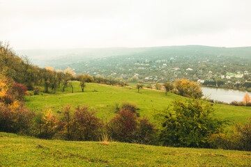 Obraz premium Beautiful rural landscape in Europe. Sunny nature with meadow and colorful forest. Orange trees on hillsides.