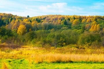 Autumn landscape on a Sunny day. Bright colored trees behind the field. Russian fields and forests on an autumn day