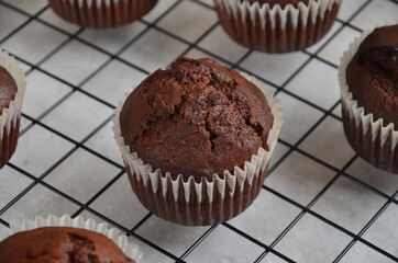 Chocolate muffins on a black metal grill on a gray background.