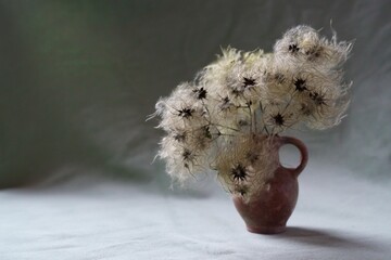 Background with wildflower - Old man's beard, Traveller's Joy, Clematis vitalba
