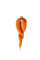 Curve carrots on a white background. Deformed carrot resembling human legs shape.