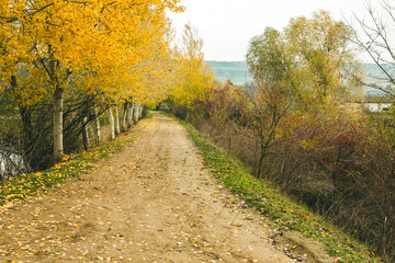 Beautiful rural landscape in Europe. Sunny nature with meadow and colorful forest. Orange trees on hillsides.