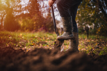Worker digs soil with shovel in colorfull garden, workers loosen black dirt at farm, agriculture...