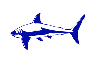 Vector blue shark isolated on white background , marine life