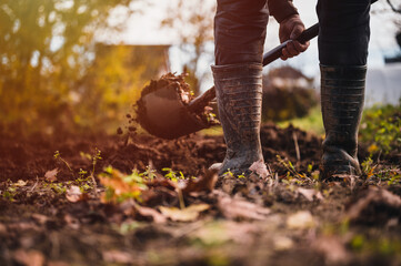 Worker digs soil with shovel in colorfull garden, workers loosen black dirt at farm, agriculture...