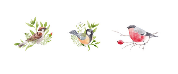 floral illustration with birds. Watercolor flowers and birds on a white background. Great for the design of greeting cards, postcards, invitations, posters, promotional items