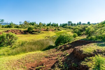 shrub lands full of green  and clear blue sky