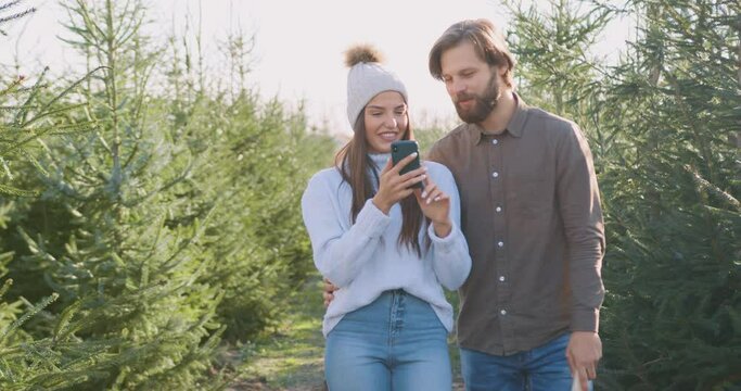 Adorable in good mood modern 30s couple in love walking between the rows with fir trees plantings and revisioning photos on her mobile,close up