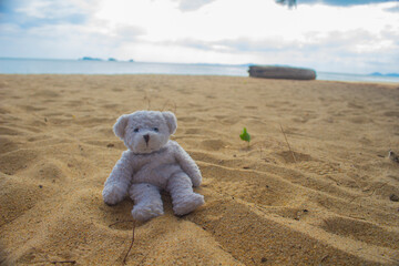 Little bear sitting on bamboo table on the beach, at sea on holiday summer.